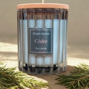 Bougie Cèdre